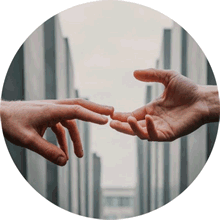 turismo_salvador_mexico_cdmx_villahermosa_cancun_agencia_de_viajes_economica_paris_turquia_colombia_canada_tailandia_costarica_orlando_caribe_costa_pacifica_europa_dubai_boletos_de_avion_vehiculos_transportacion_trenes_vuelos_economicos_camionetas_circuitos_locales_viajes_destinos_nacionales_destinos_internacionales_cruceros_hoteles_renta_de_autobuses_renta_de_van_calidad_servicio_servicios_turisticos_salvador